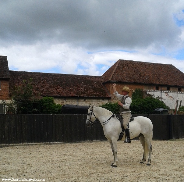 Training Horses for the Hunt with Birds of Prey